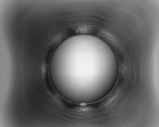 X0000097880645200803211335