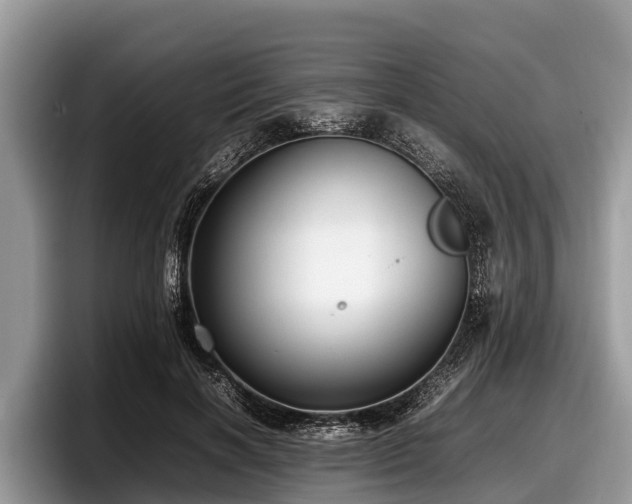 X0000097880646200803211335