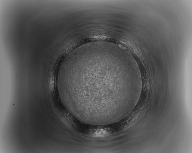 X0000097880647200803211335