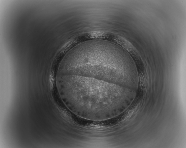 X0000097880648200803211335