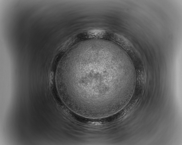 X0000097880649200803211335