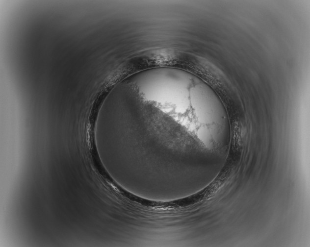 X0000097880650200803211335