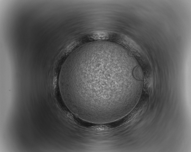 X0000097880652200803211335