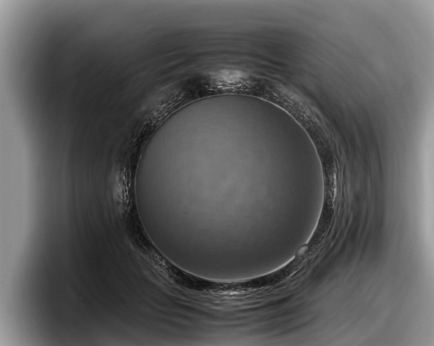 X0000097880653200803211335