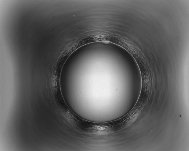 X0000097880654200803211335