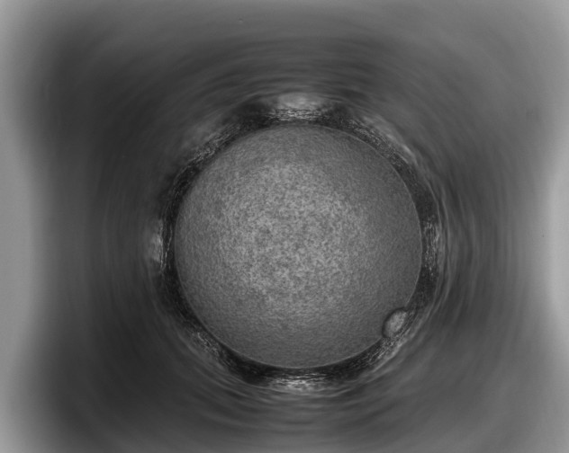 X0000097880655200803211335