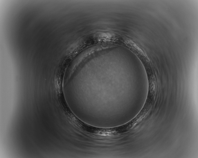 X0000097880661200803211335