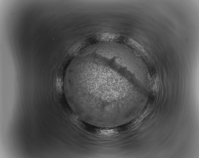 X0000097880669200803211335
