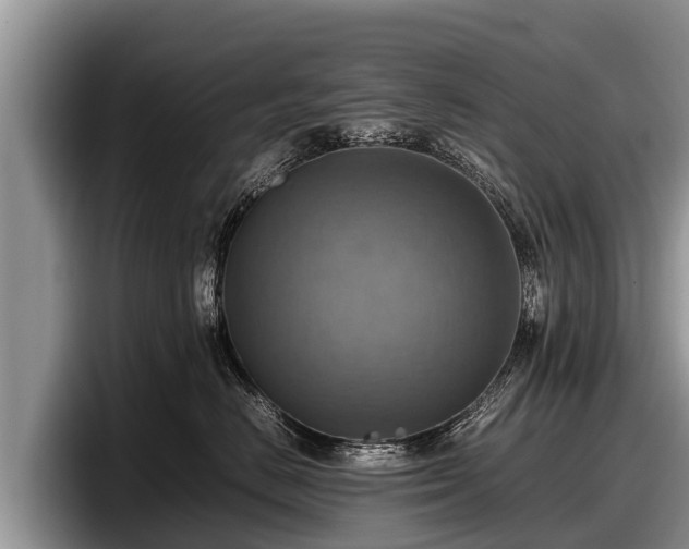 X0000097880670200803211335