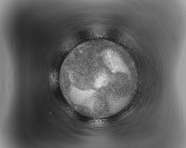 X0000097880672200803211335