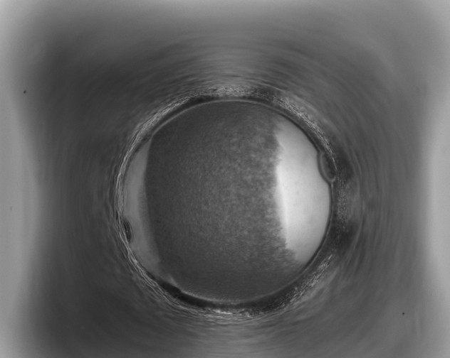 X0000097880673200803211335