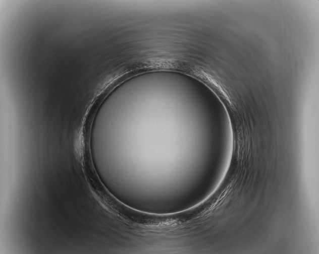 X0000097880674200803211335
