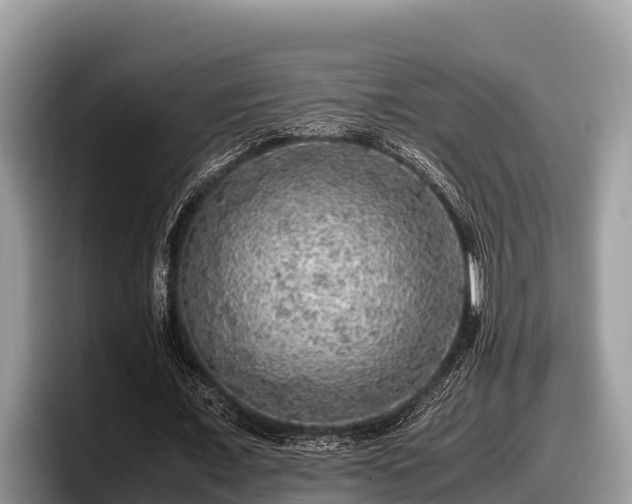 X0000097880675200803211335