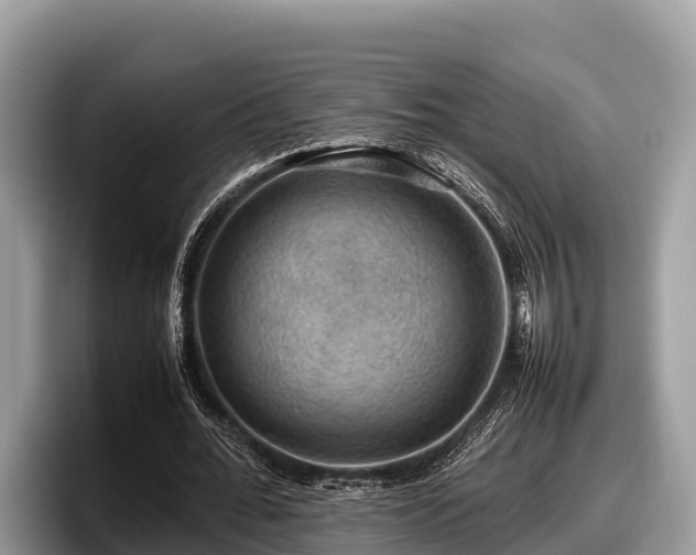 X0000097880676200803211335