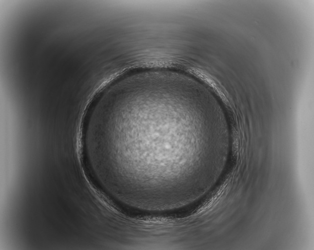X0000097880677200803211335