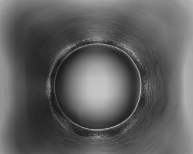 X0000097880678200803211335