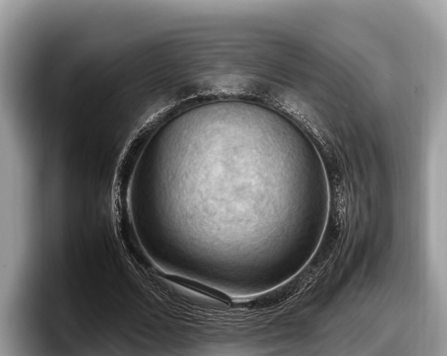 X0000097880680200803211335