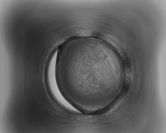 X0000097880681200803211335