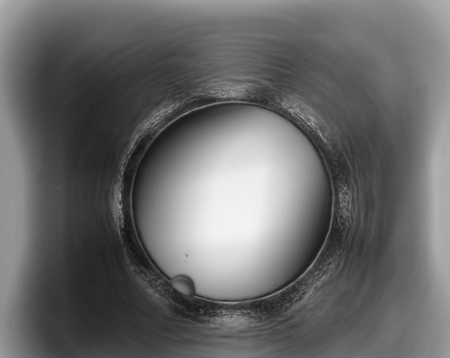 X0000097880682200803211335