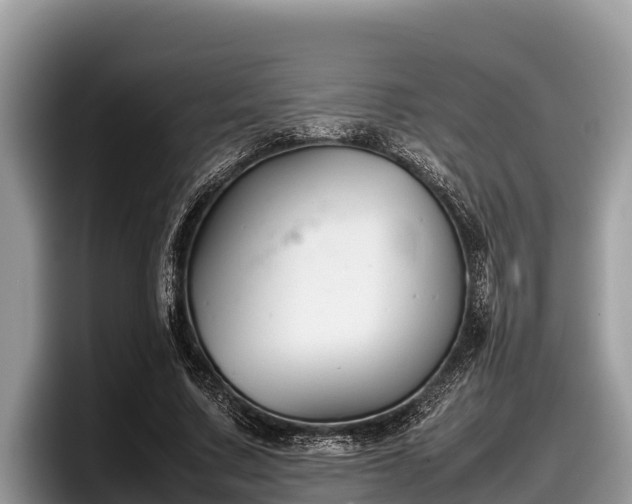 X0000097880683200803211334