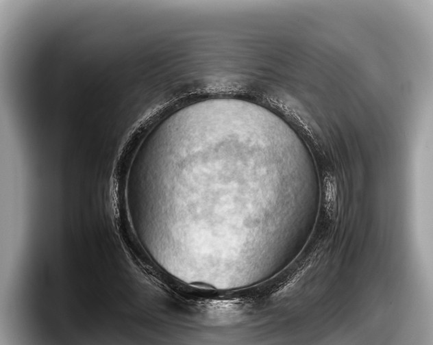 X0000097880684200803211334