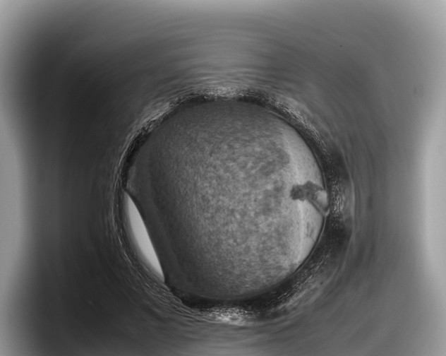 X0000097880685200803211334