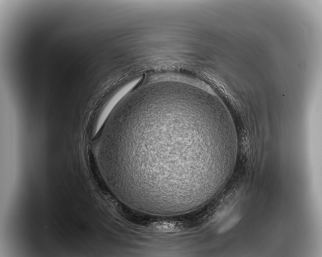 X0000097880687200803211334
