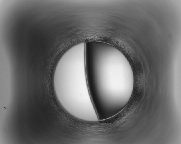 X0000097880689200803211334