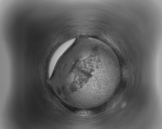 X0000097880691200803211334