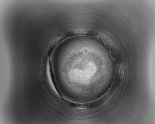 X0000097880692200803211334