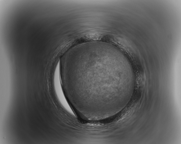 X0000097880693200803211334