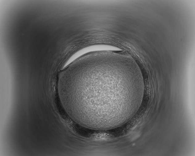 X0000097880695200803211334