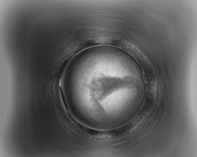 X0000097880696200803211334