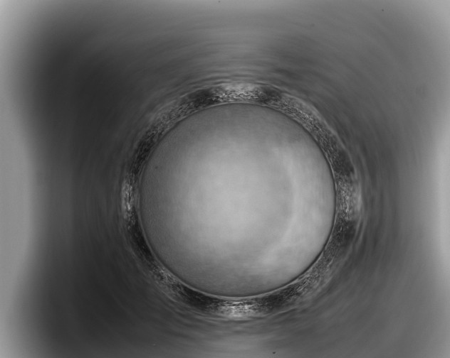 X0000097880701200803211334