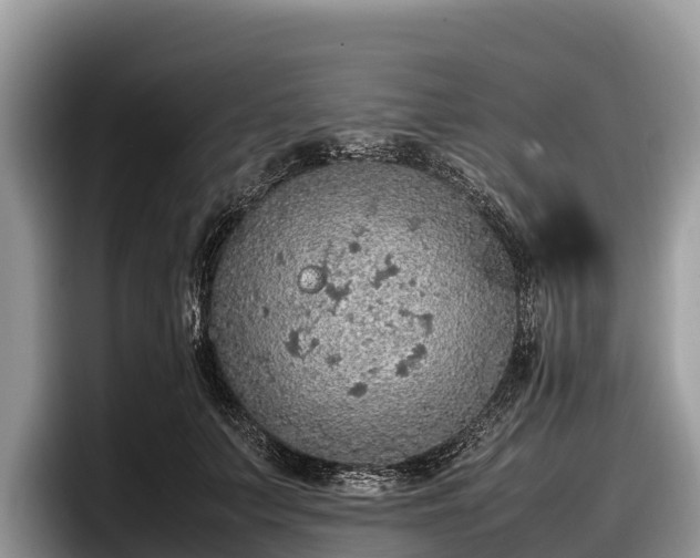 X0000097880703200803211334