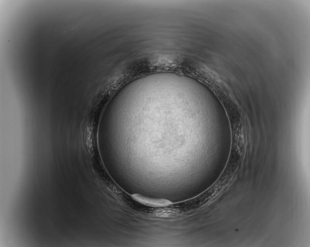 X0000097880708200803211334