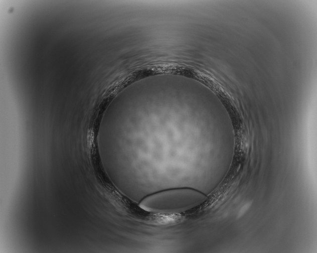 X0000097880711200803211334