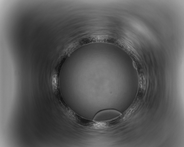 X0000097880718200803211334