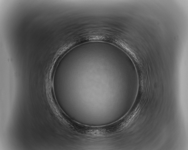 X0000097880721200803211333