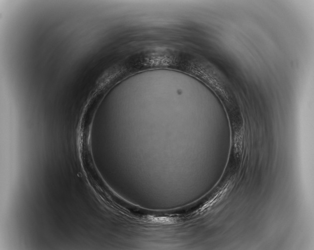 X0000097880722200803211333