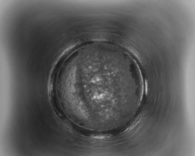 X0000097880723200803211333