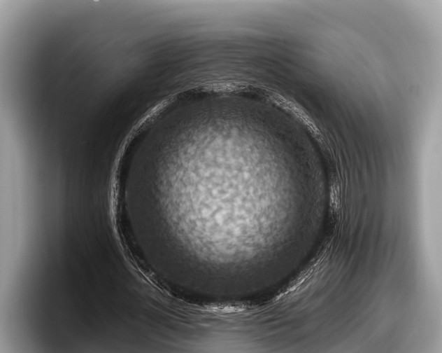 X0000097880724200803211333