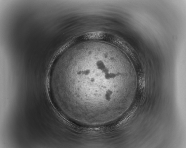 X0000097880725200803211333