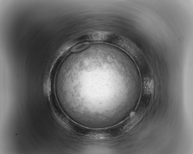 X0000097880726200803211333