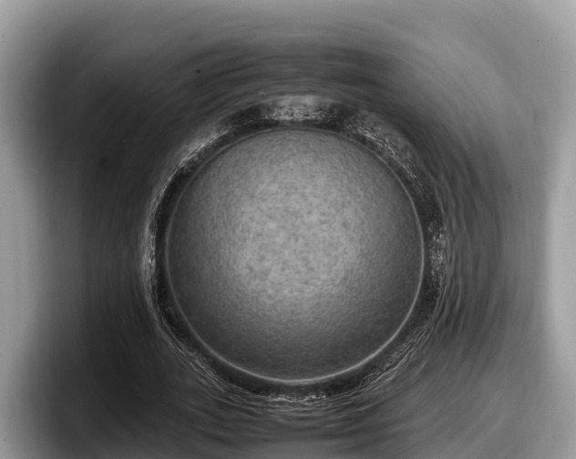 X0000097880727200803211333