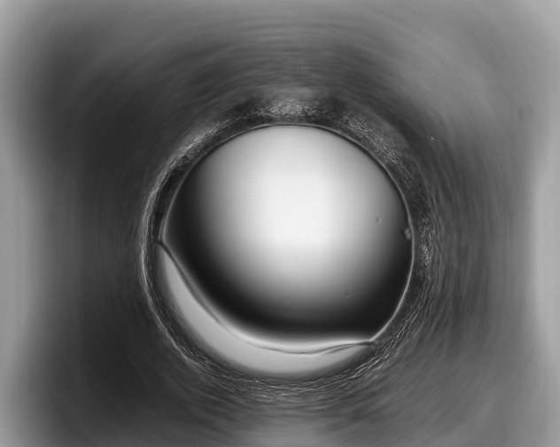 X0000097880728200803211333