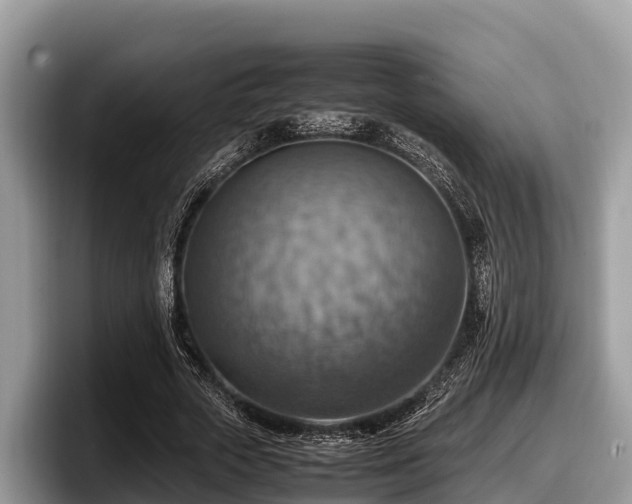 X0000097880729200803211333