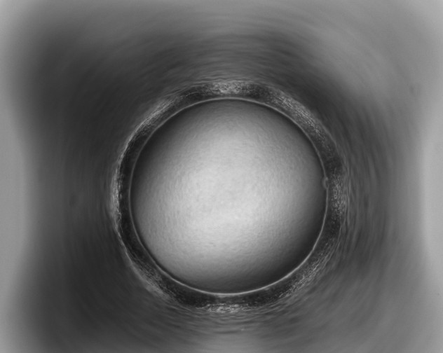 X0000097880730200803211334
