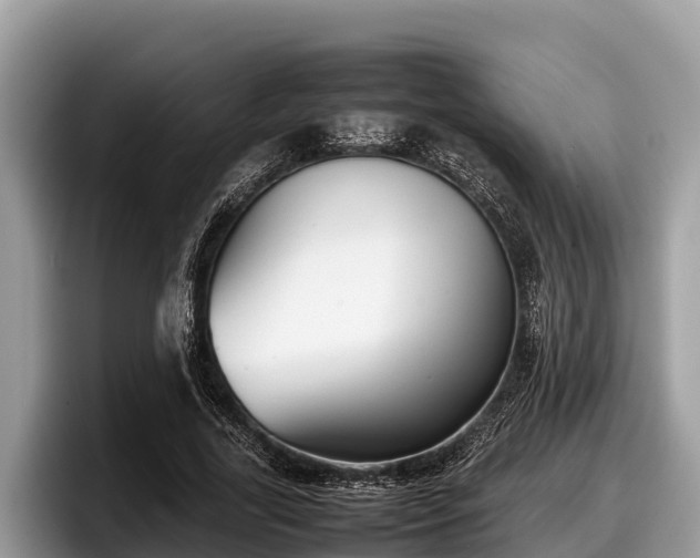 X0000097880731200803211334