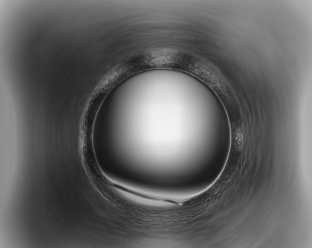 X0000097880732200803211334